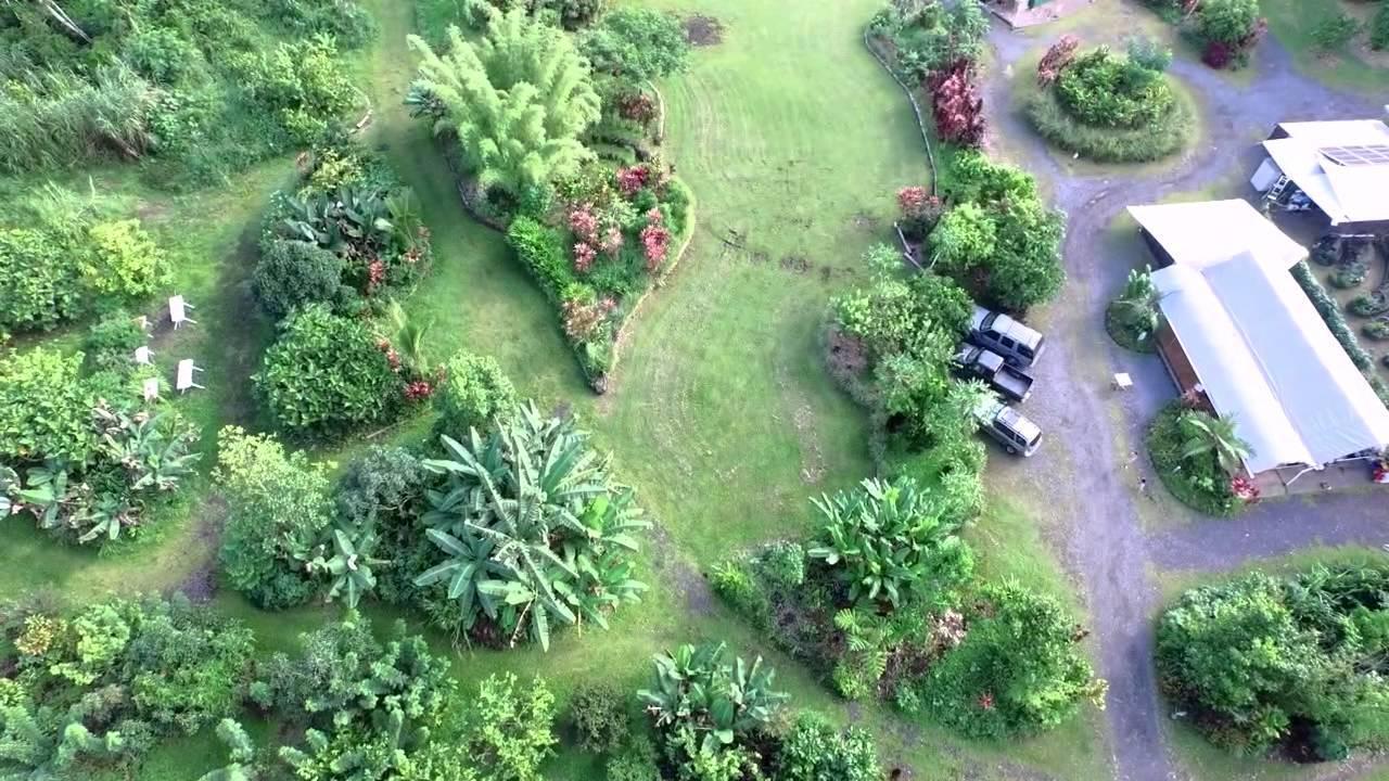 Hawaiian Sanctuary Eco Retreat Center Vila Pahoa Exterior foto